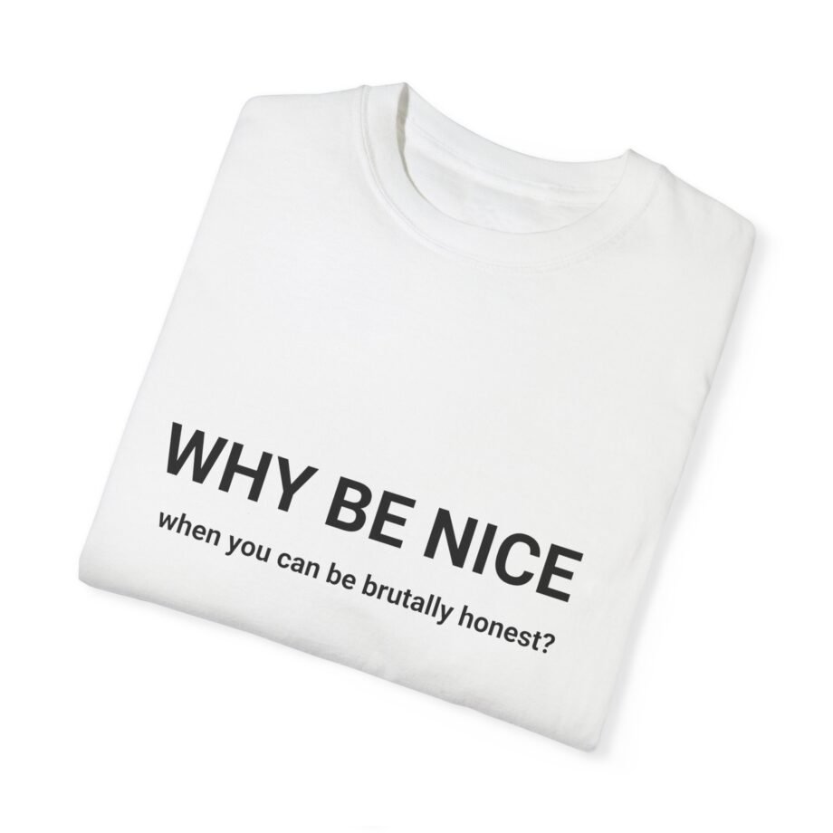 Why Be Nice - T-shirt