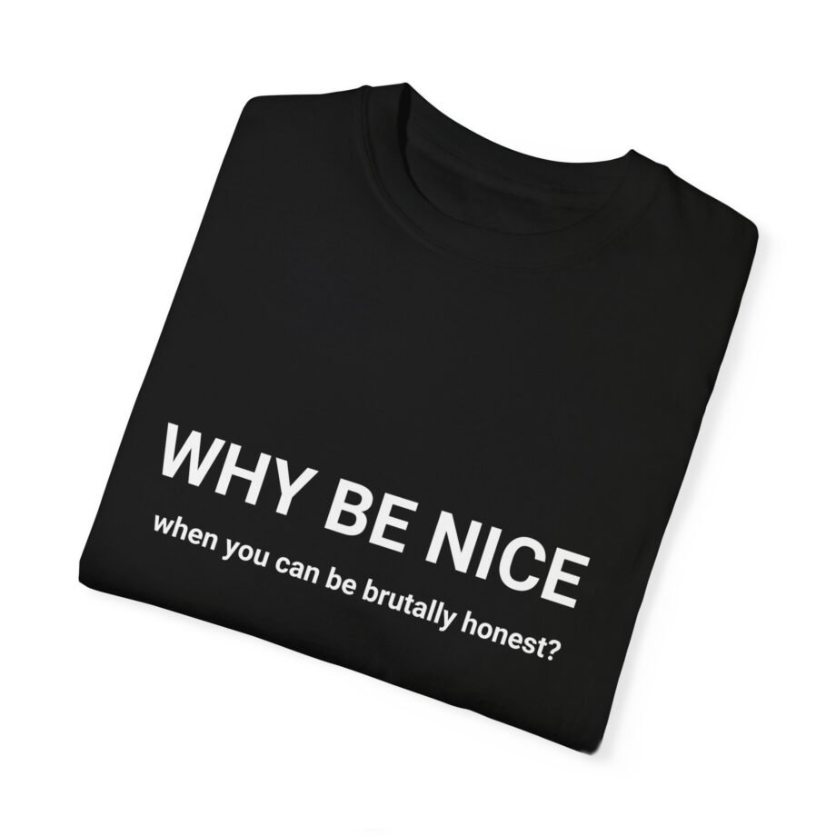 Why Be Nice - T-shirt