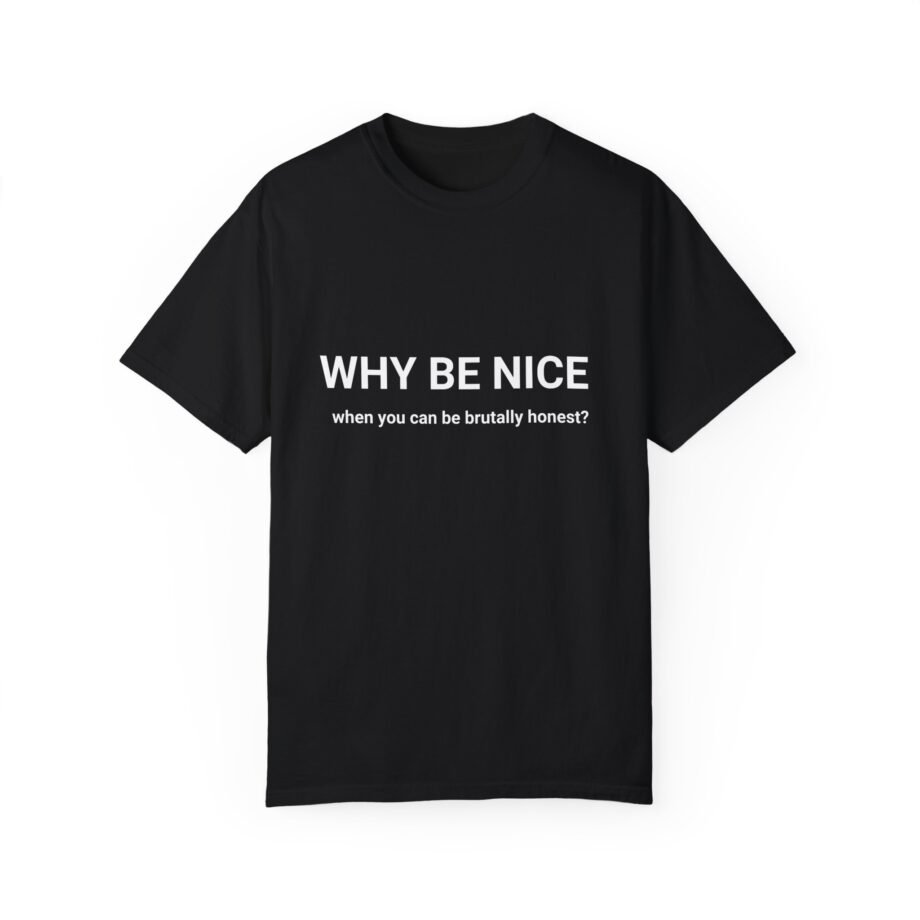 Why Be Nice - T-shirt
